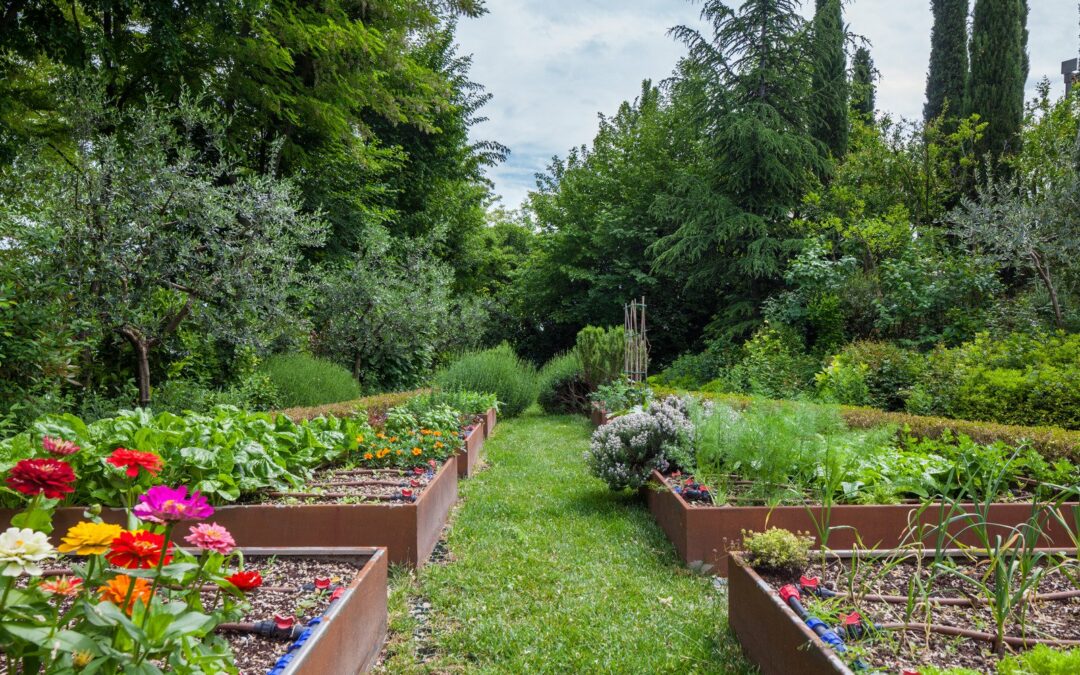 Aménager un petit jardin en longueur : astuces et conseils pratiques