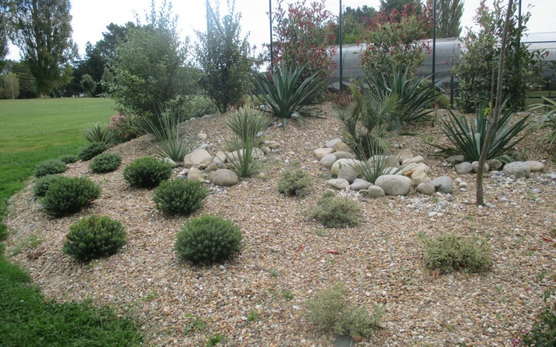 massif jardin palmier