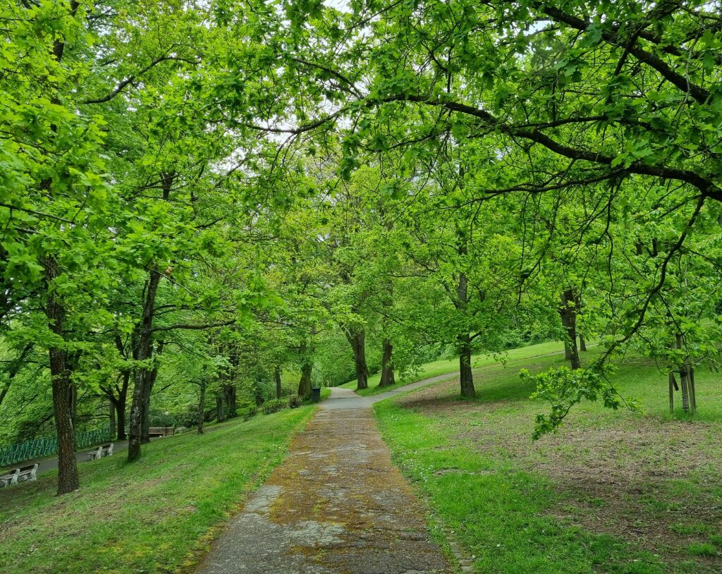 jardin entretenu