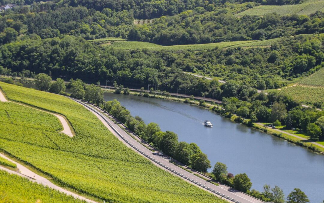 paysage Moselle