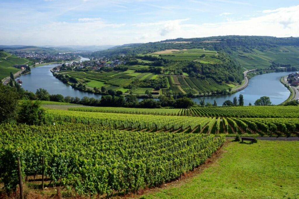 paysage de moselle